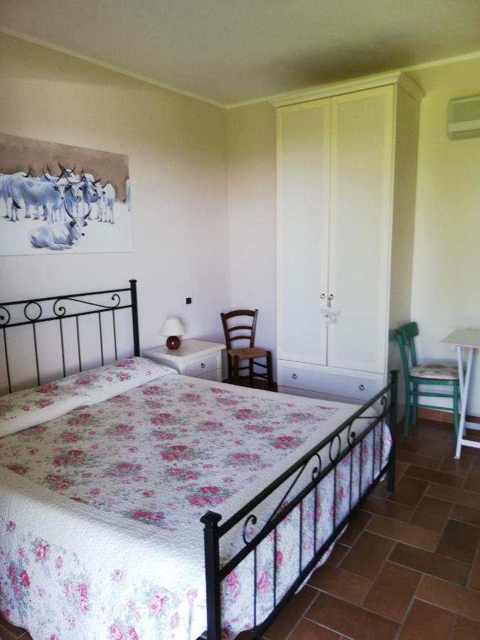 Agriturismo Prati Degli Orti Montiano (Tuscany) Exterior foto